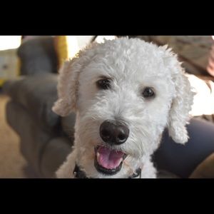 Meet your Posher, Adrienne